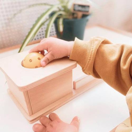 Scatola di permanenza con vassoio