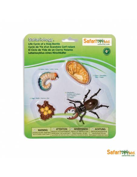 Roma antigua - Super toob