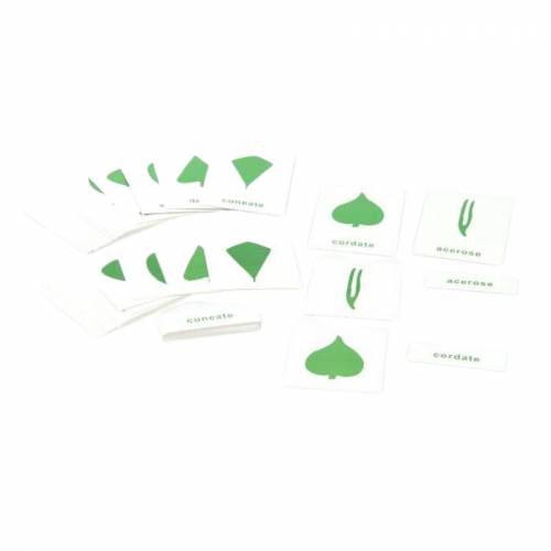 Carte botaniche in tre parti
