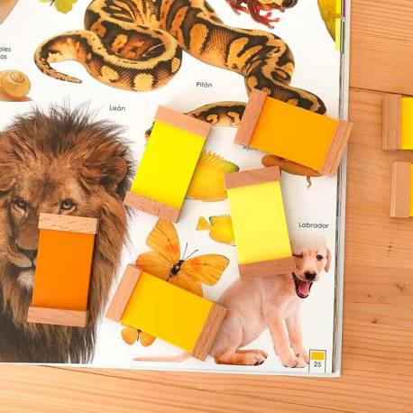 Animali arcobaleno libro