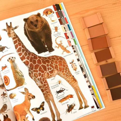 Animali arcobaleno libro