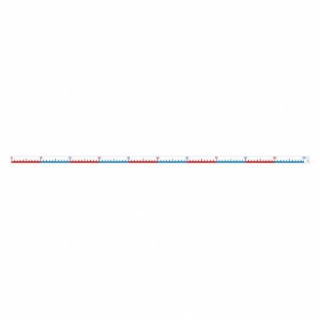 Linea numerica 1-100