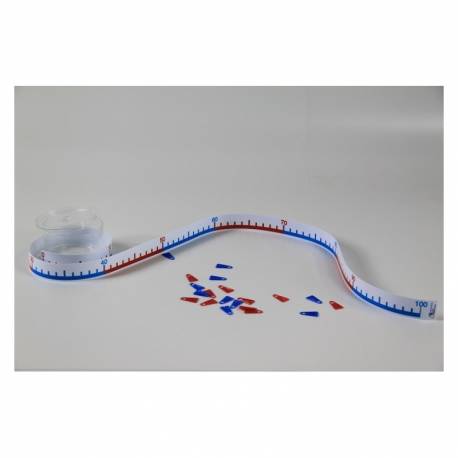 Linea numerica 1-100