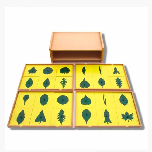 Mobile per botanica 24 pezzi