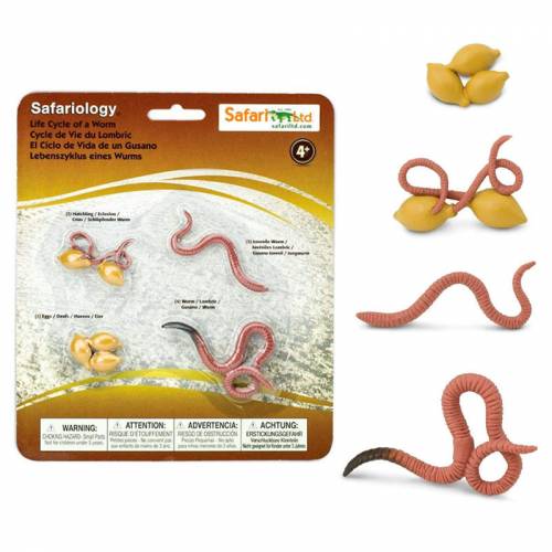 Ciclo di vita peggiore