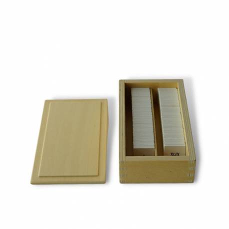 Numeri romani per tavola 100