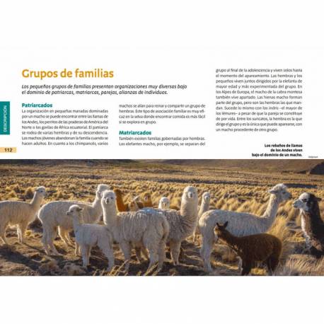 Vita animale Montessori 2