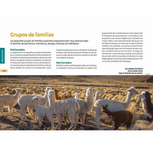 Vita animale Montessori