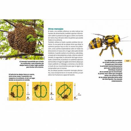 Vita animale Montessori