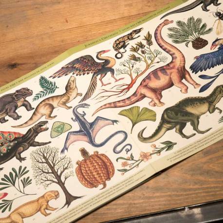 Historia de la Evolución - Línea  Libros con Imágenes Reales