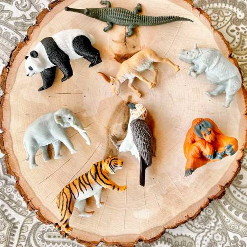 Animales de Asia  Toobs Animales