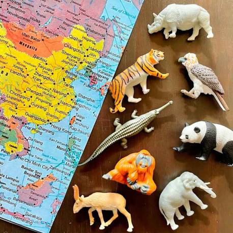 Animali asiatici 2