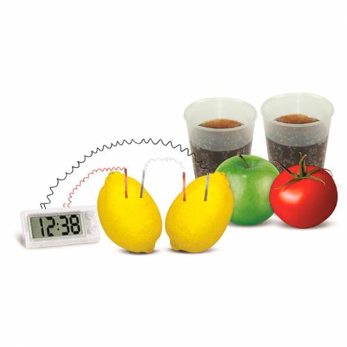 Crea tu reloj con patatas 4M Ciencia y medio ambiente