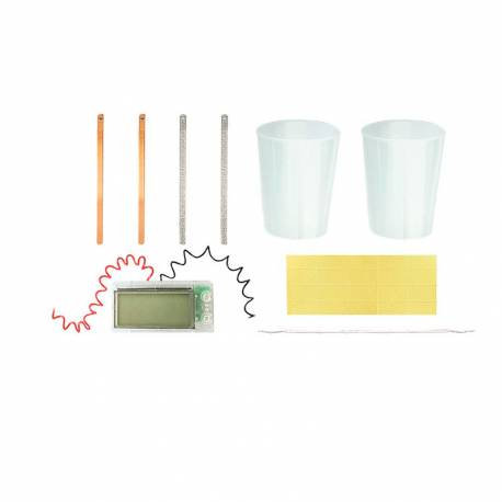 Crea tu reloj con patatas 4M Ciencia y medio ambiente