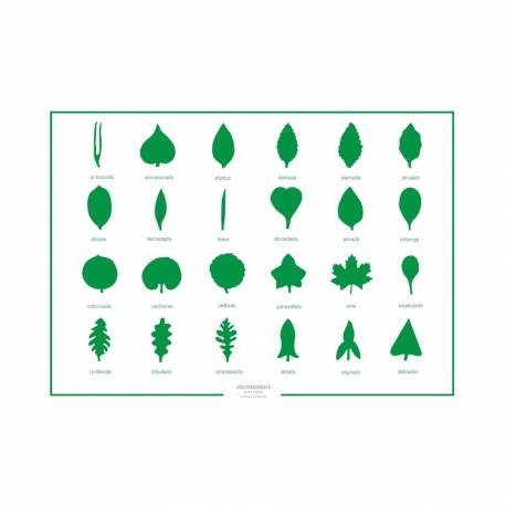 Controllo della lamina Armadio di botanica - 24 pezzi 2