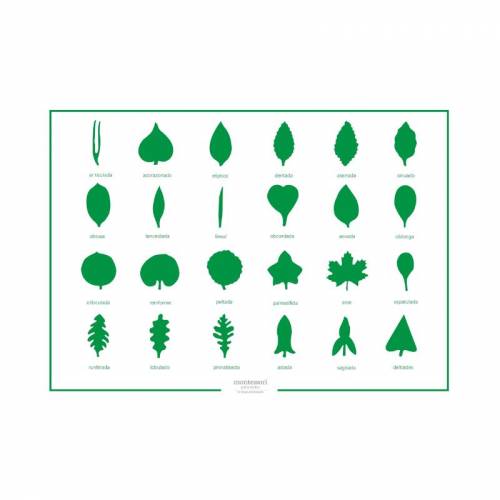 Controllo della lamina Armadio di botanica - 24 pezzi