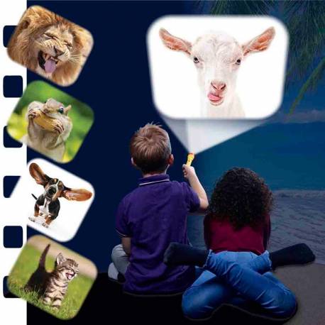 Linterna Animales - Proyector de Dibujos y Linterna Infantil, Juguete  Educativo y Científico para Niños +4 Anos