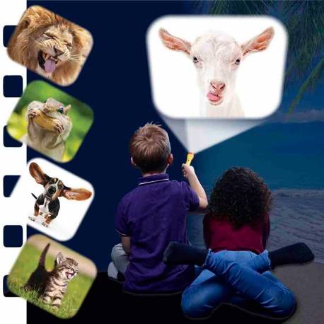 Torcia Funny animali 2