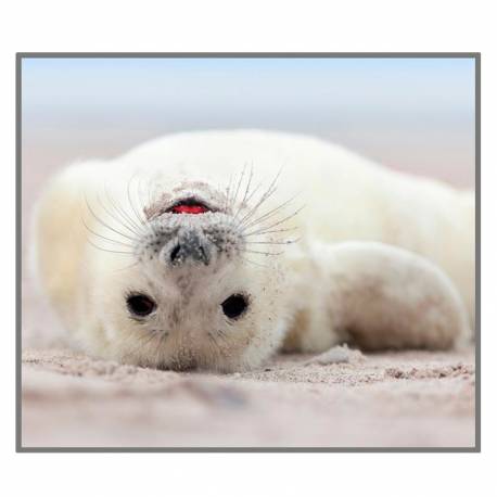 Linterna Animales Divertidos  Linternas Proyector