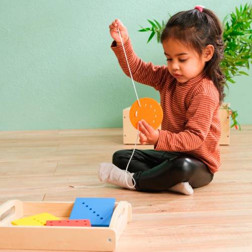 Link delle forme + Bandeja