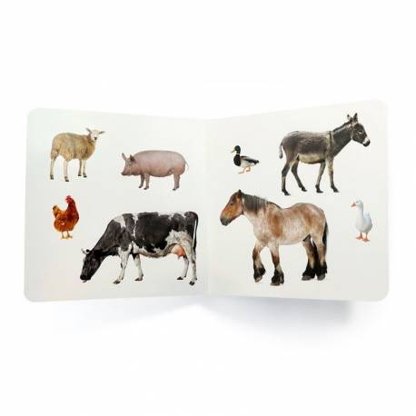 Libro de fotografías Animales de la granja Volumen 1 - Nowordbooks