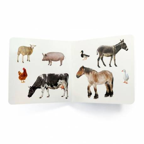 Immagini di storia reale - Animali da fattoria 2 2