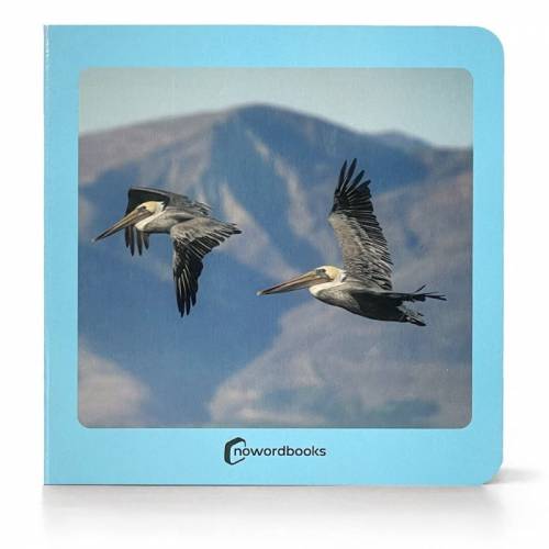 Cuento imágenes reales - Aves Nowordbooks Nowordbooks