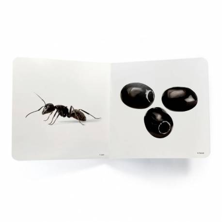 Cuento imágenes reales - Negro Nowordbooks Nowordbooks 2