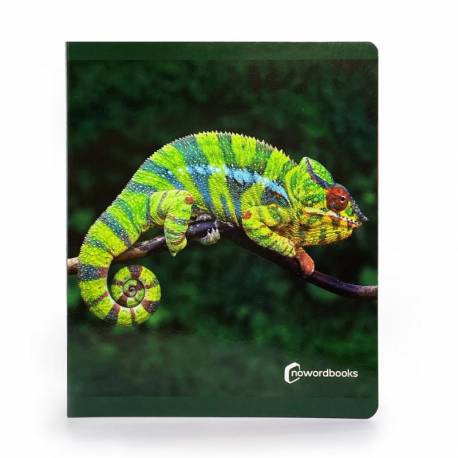 Libro grande - Animales de la Selva Nowordbooks Nowordbooks 2