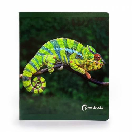 Big Book - Animali della giungla