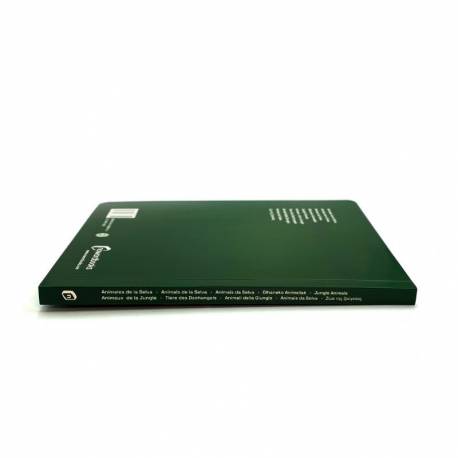 Libro grande - Animales de la Selva Nowordbooks Nowordbooks