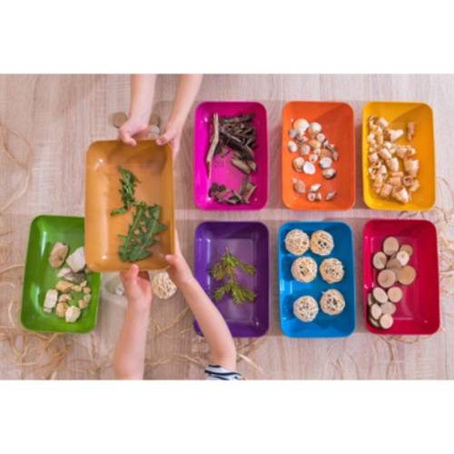 Pack de 6 bandejas ECO  Ambiente y Mobiliario