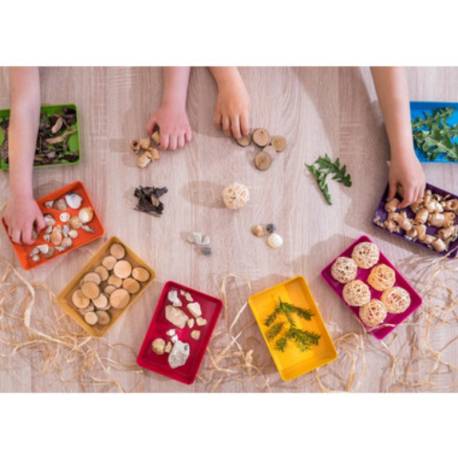 Pack de 6 bandejas ECO  Ambiente y Mobiliario