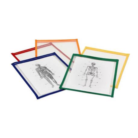 Pack 10 fundas DIN A4 para escribir y borrar  Papelería