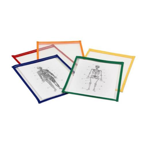 Pack 10 fundas DIN A4 para escribir y borrar  Papelería