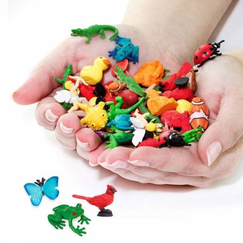 Mini giardino cortile