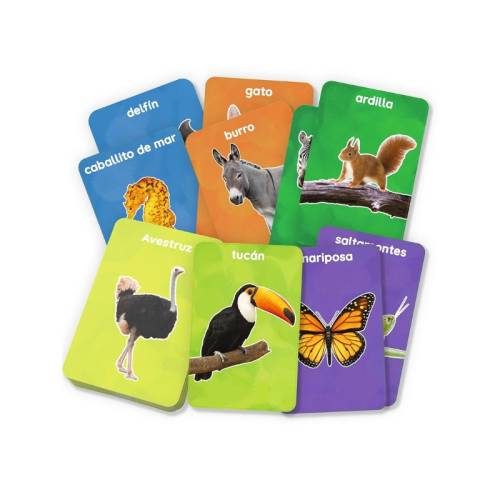 Flashcards - I miei primi 100 animali