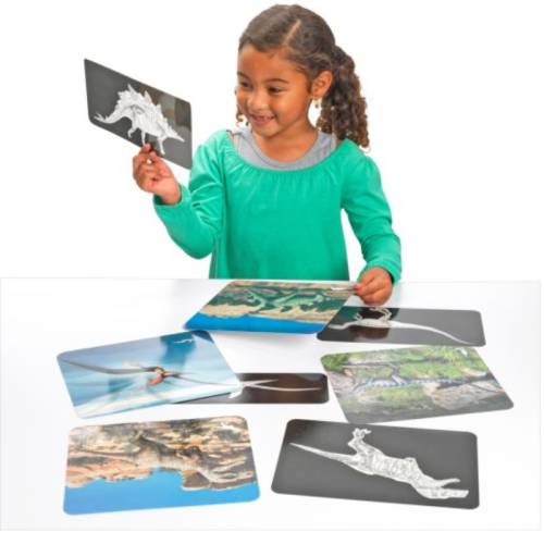 Rayos X - Dinosaurios Roylco Animales y Naturaleza