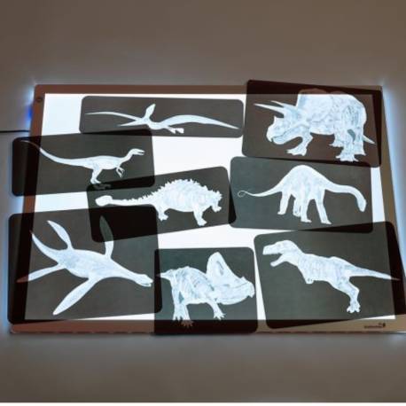 Rayos X - Dinosaurios Roylco Animales y Naturaleza