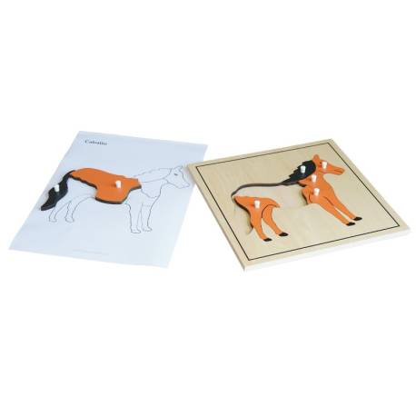 Imprimible - Plantillas de Zoología  Tarjetas Montessori 2