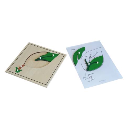 Recortable - Actividades de Botánica Made in Spain Tarjetas Montessori