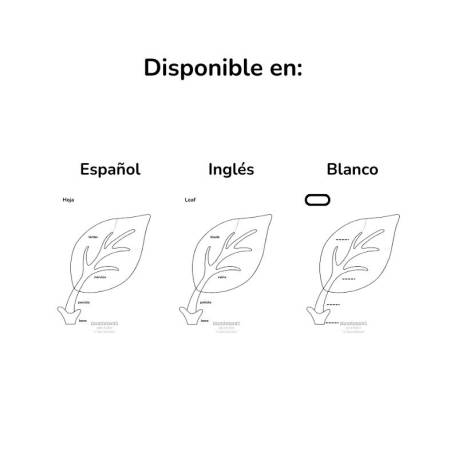 Restauro - Attività botaniche