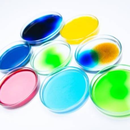 Pack de 3 placas Petri de plástico  Física y Experimentos 2