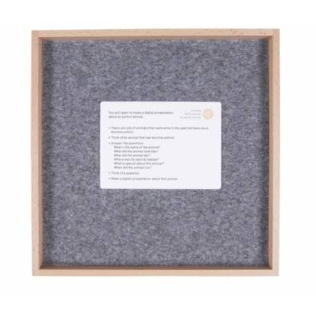 Exploring English: Lower Elementary 6 - 9 años Nienhuis Gramática y Sintaxis