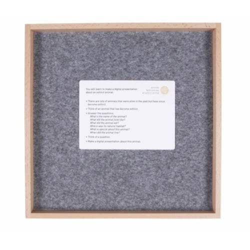 Exploring English: Lower Elementary 6 - 9 años Nienhuis Gramática y Sintaxis