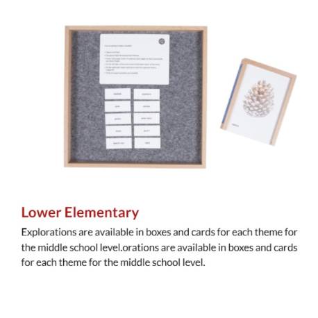 Exploring English: Lower Elementary 6 - 9 años Nienhuis Gramática y Sintaxis