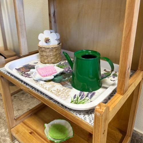 Mini regadera de metal verde Nienhuis Limpieza y orden