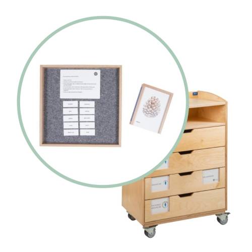 Exploring English: Lower Elementary 6 - 9 años Nienhuis Gramática y Sintaxis