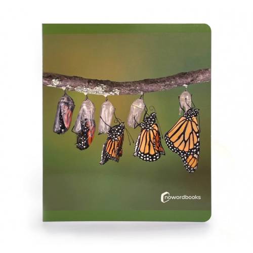 Big Book - I Cicli della Vita