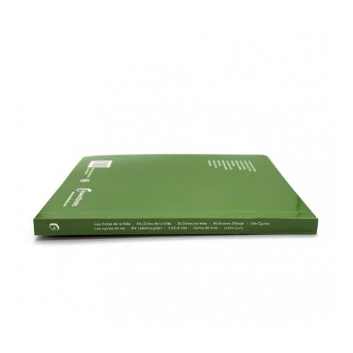 Big Book - I Cicli della Vita